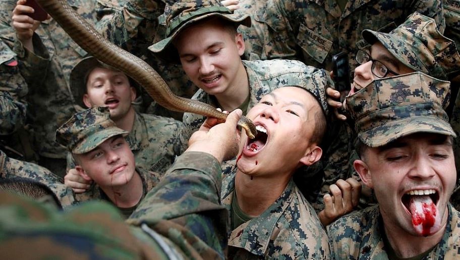 US Marines Guzzle Cobra Blood and Feast on Live Scorpions in Gonzo Jungle Survival Drill