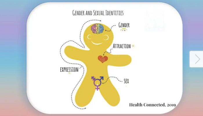 Genderbread Man Teaches CA Kids About What’s Between Their Legs